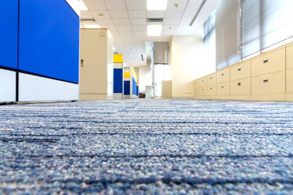 Business Carpet Cleaning in Lake Worth