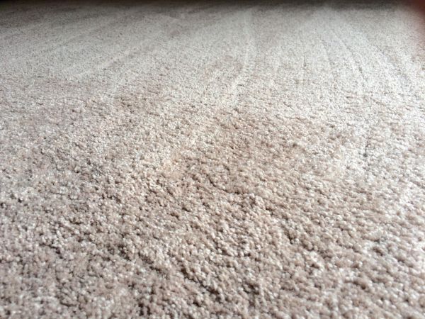 Plush Carpet Installation in Lake Worth