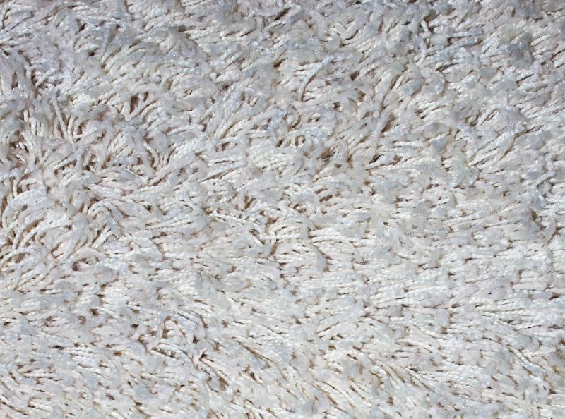 Deep Carpet Cleaning Process