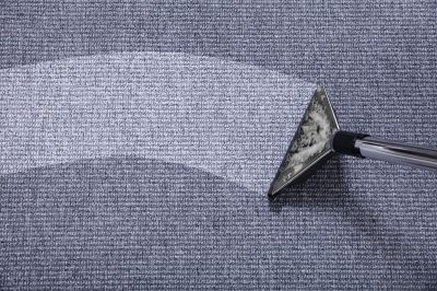 Professional Carpet Care