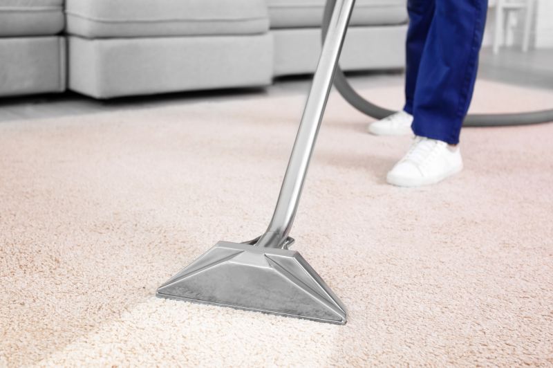 Condo Carpet Cleaning