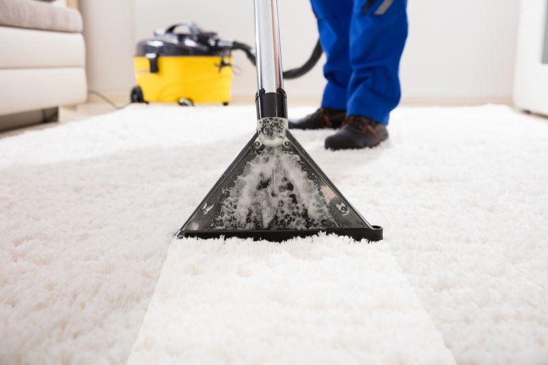 Residential Carpet Cleaning